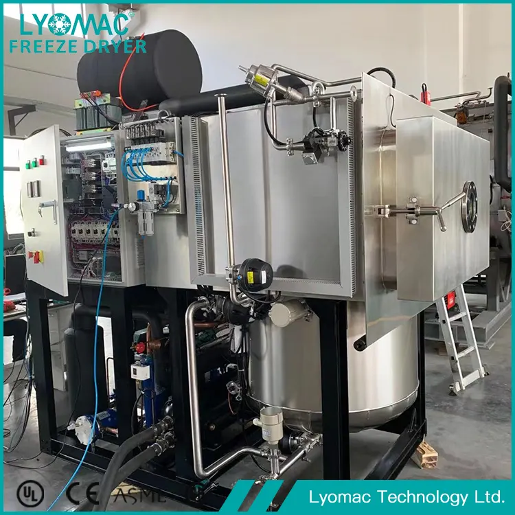 De hydraulische en pneumatische systemen van Lyomac: de mechanische kern van betrouwbaar vriesdrogen
