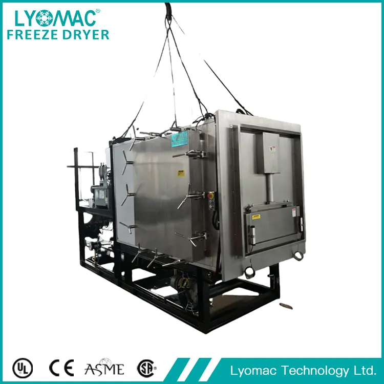 GMP farmaceutische lyofilisator